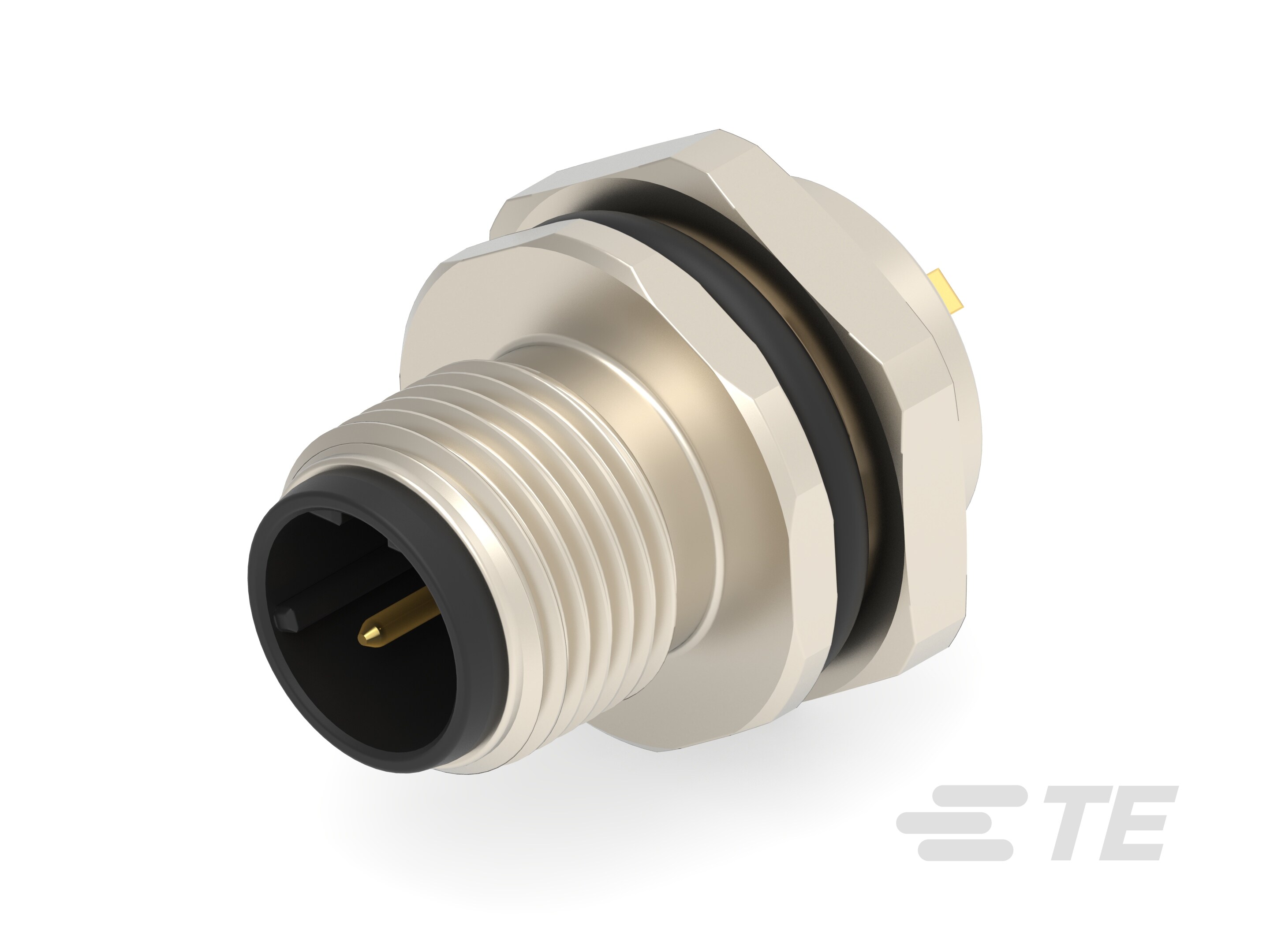 M12,FRONT MOUNT,MALE,D,2P,SOLDER WIRE-T4132512021-000