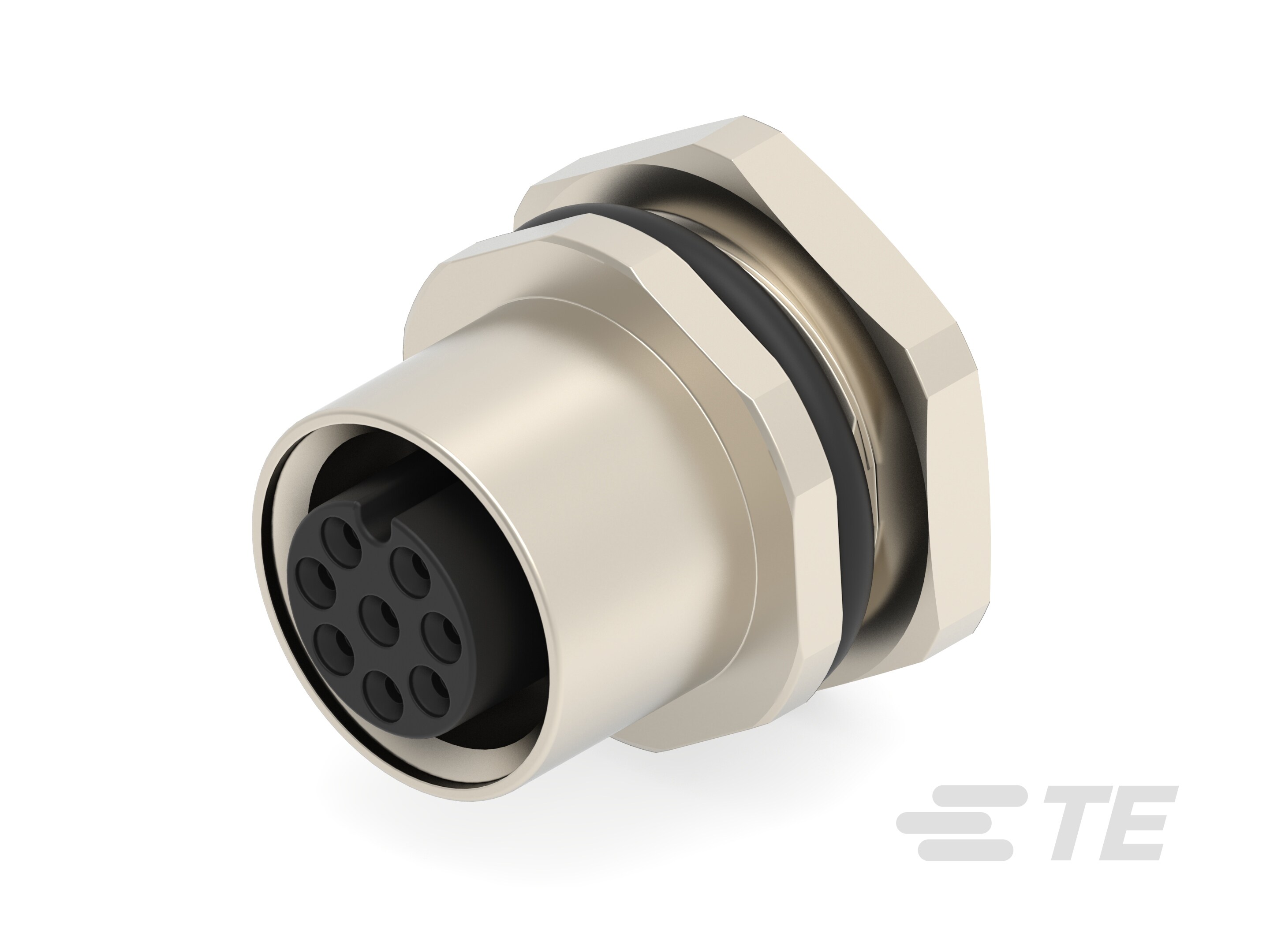 T4133012081-000 : M12 Connector Standard Circular Connectors