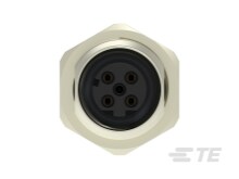 T4141512041-001 : M12 Steckverbinder Standard-Rundsteckverbinder 