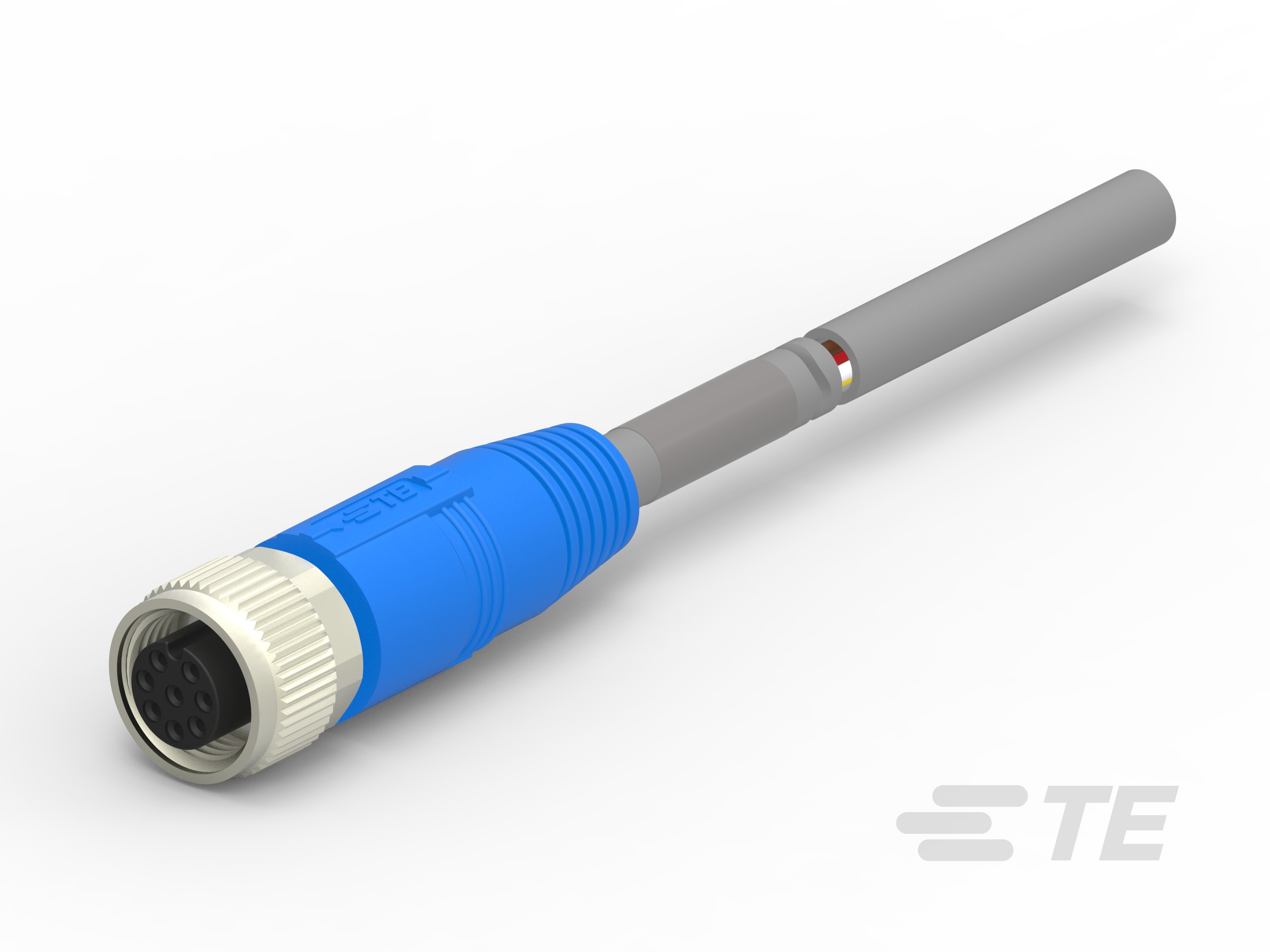 M12-FS-8P-PUR-5.0-1SET313007R0000