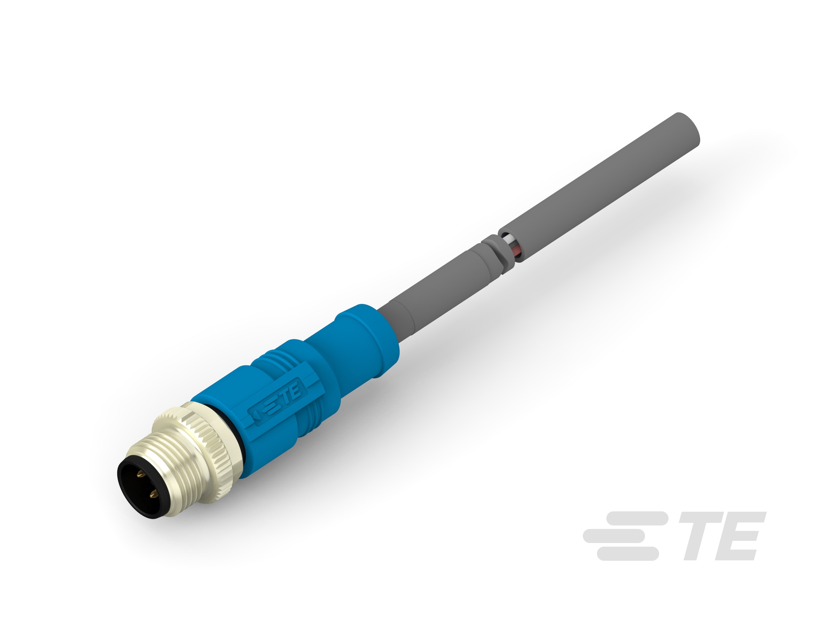RPC-M12-MS-3CON-PUR-10.0SH-T4161120003-007