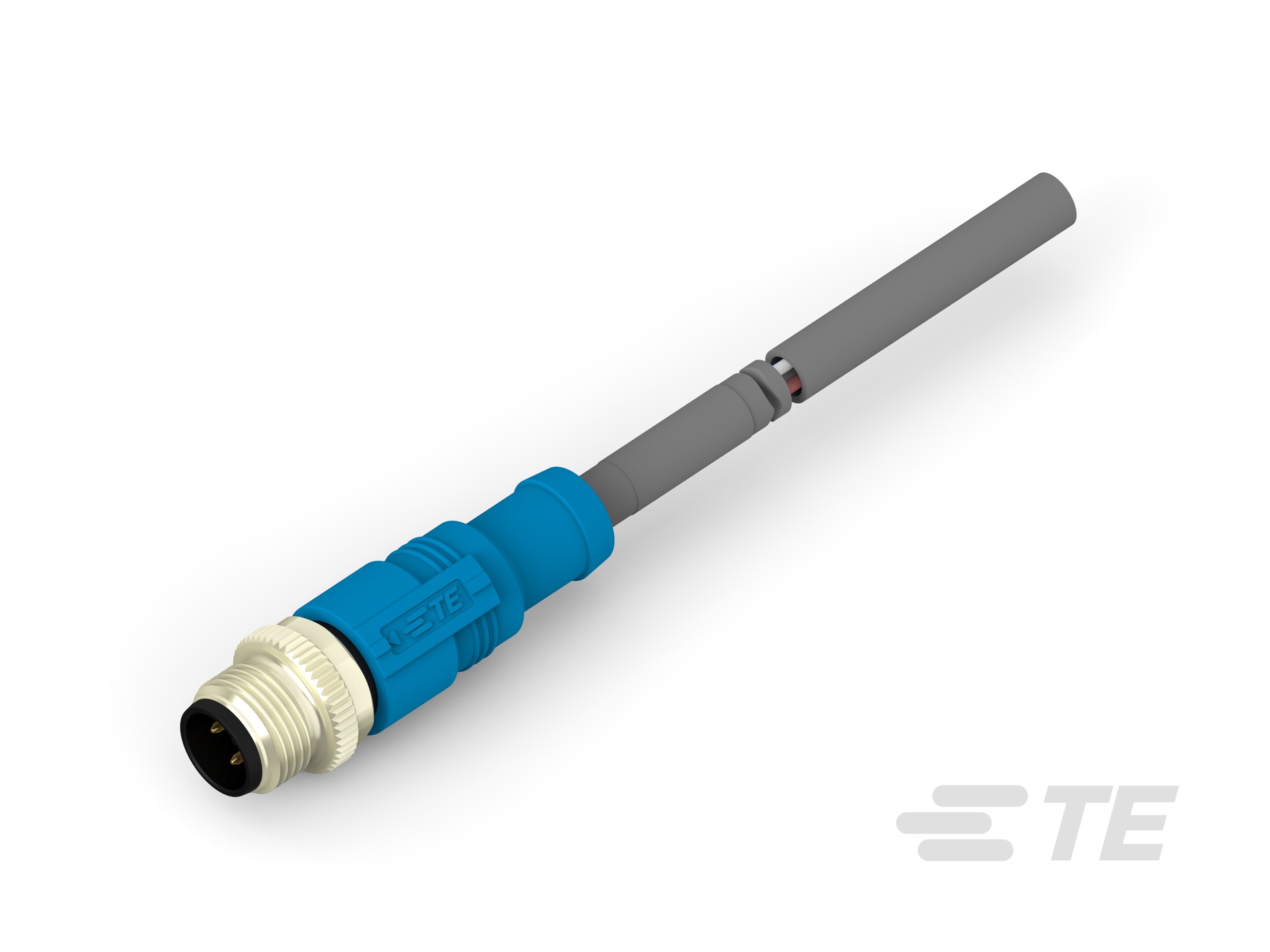 RPC-M12-MS-4CON-PUR-10.0SH-T4161120004-007