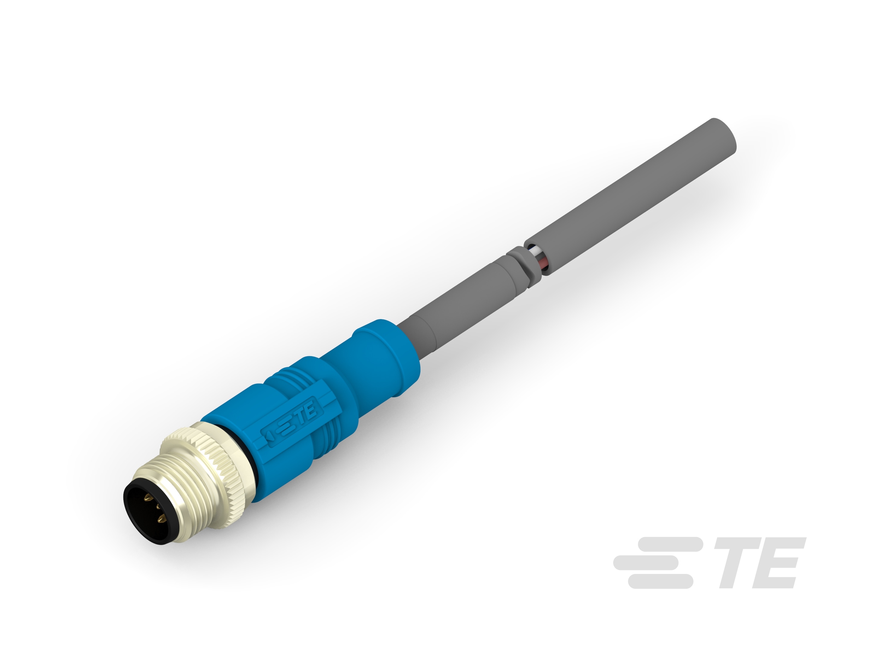 RPC-M12-MS-5CON-PUR-0.5SH-T4161120005-001