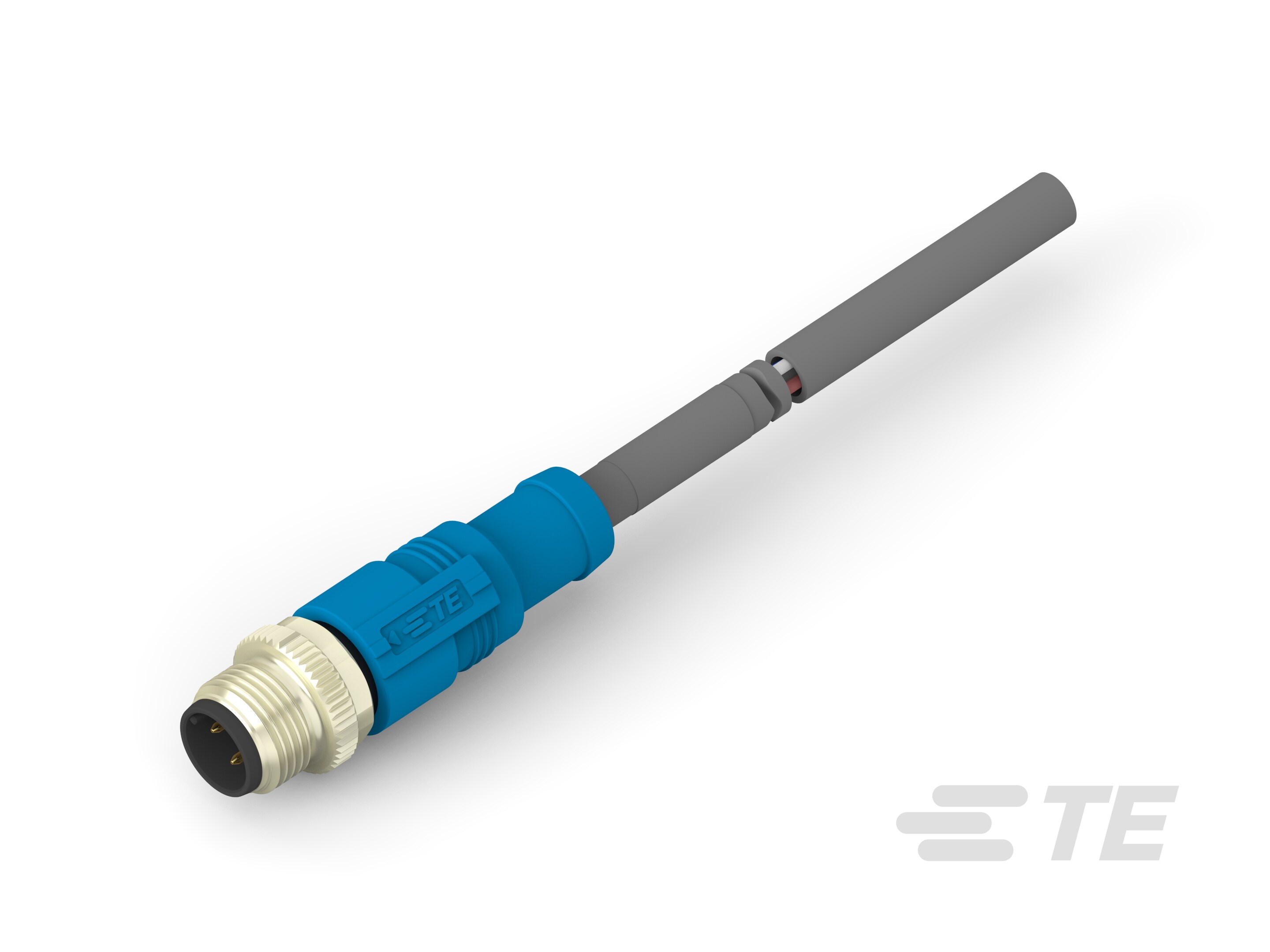 RPC-M12D-MS-4CON-PUR-1.0SH-T4161120504-002