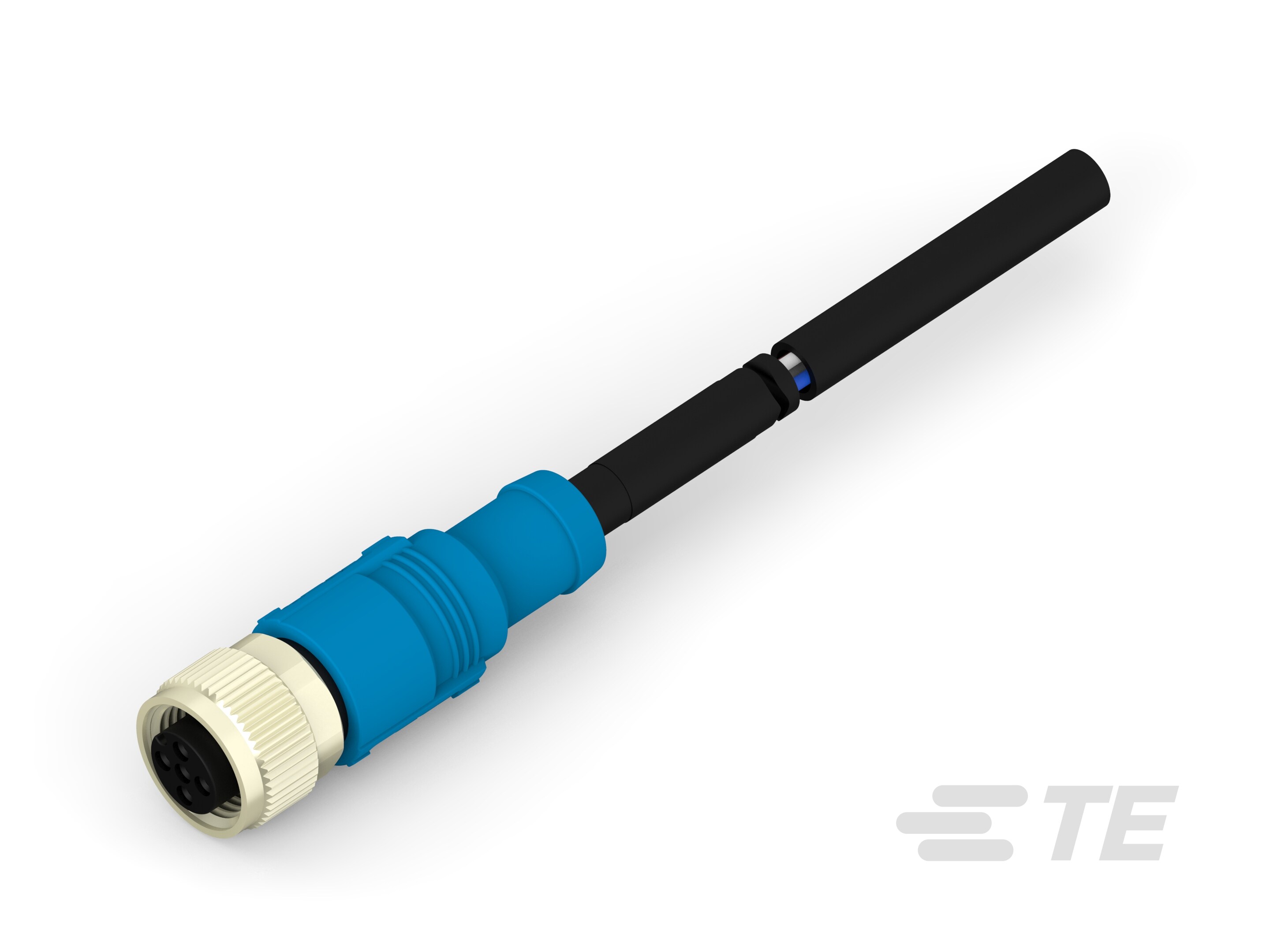 RPC-M12-FS-3CON-PVC-0.5SH-T4161310003-001