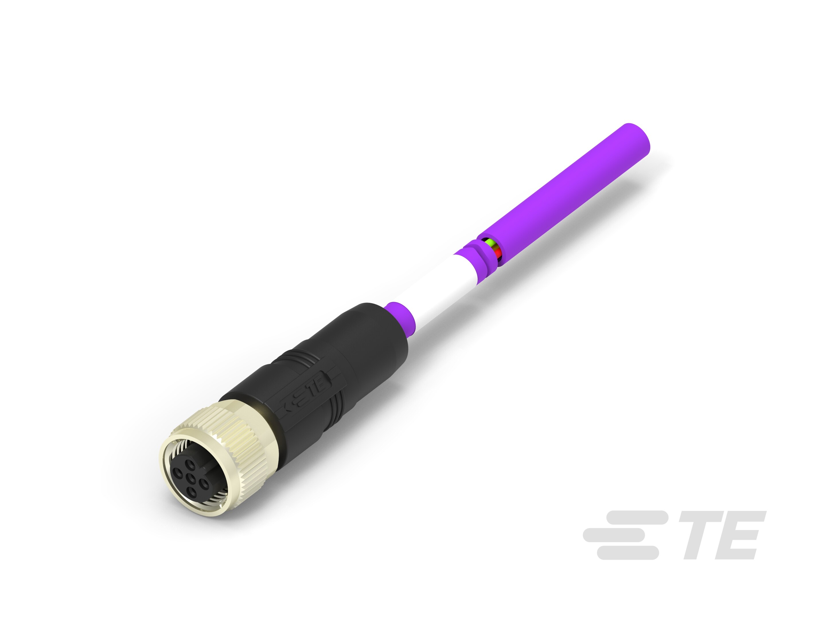 M12B2-FS-PUR TORSION-0.5M-TAB62346501-001