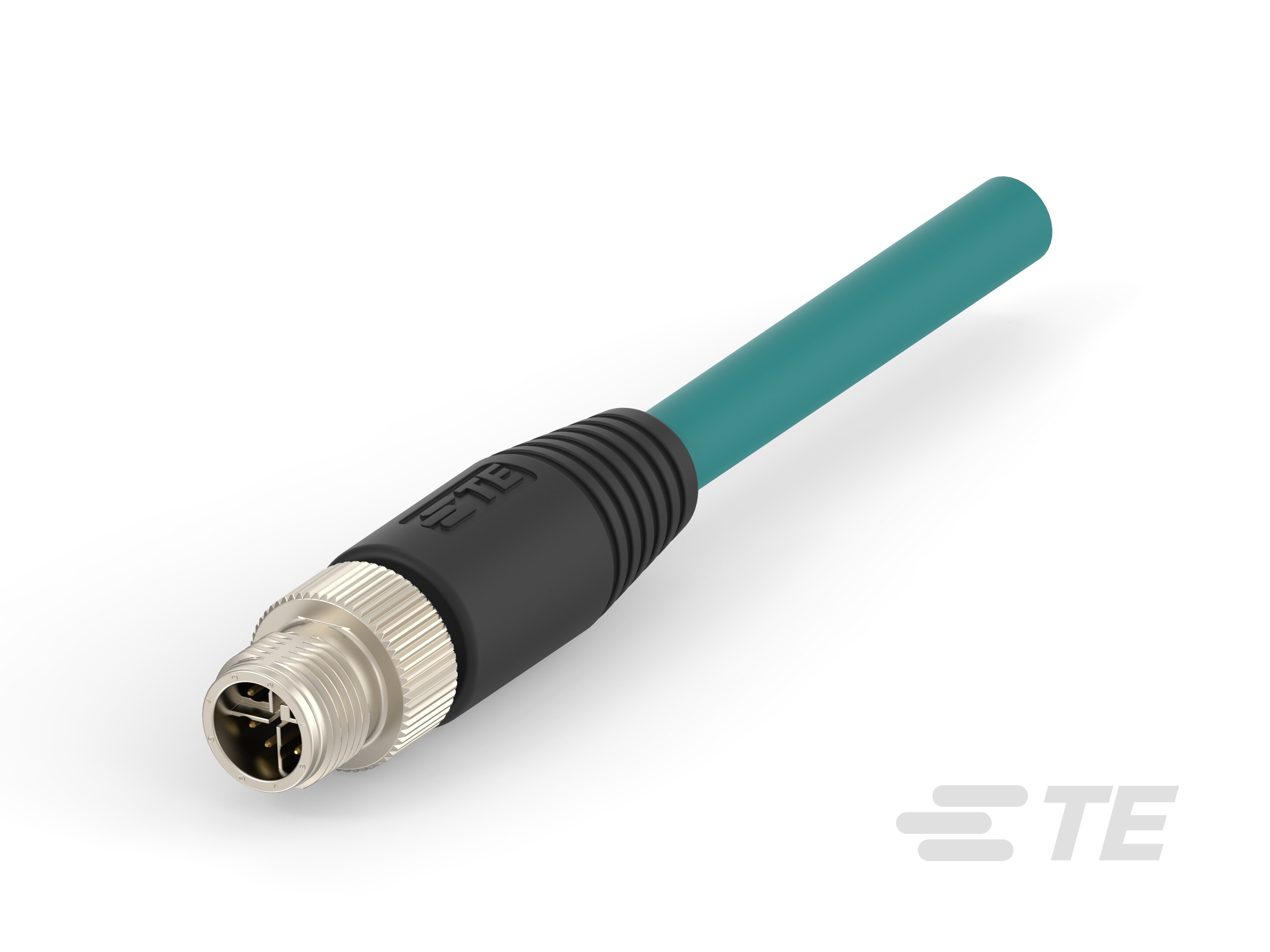 TAX3812A202-005 : M8/M12 Cable Assemblies | TE Connectivity