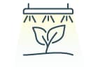 horticulture-lighting-icon