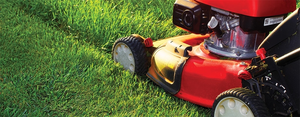 lawn-mower