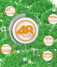 Profilzeichen aus Gras mit 48 V-Logo