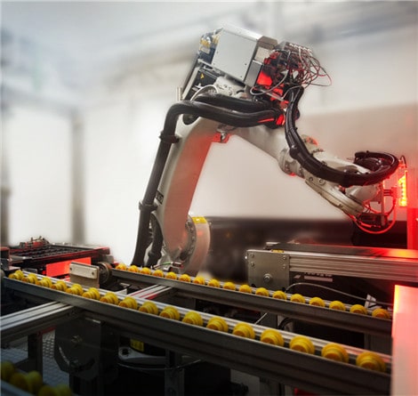 Engenheira trabalha com um cobot em uma fábrica.