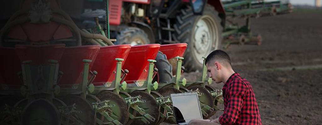 agriculture activity