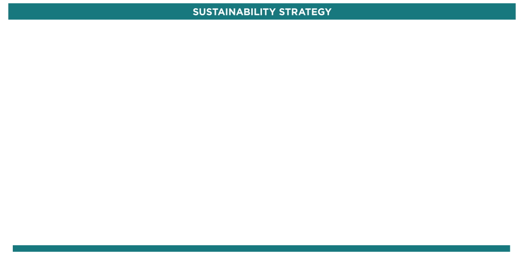可持续发展战略 - 报告结论 2