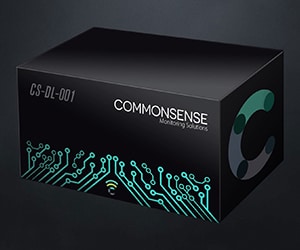 commonSENSE designed a solution that clients could adapt to their specific needs.