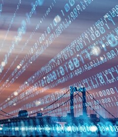 Engineered for High-Speed Connectivity