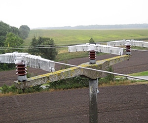 Bird protection in Germany