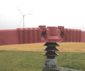 Bird protection in Germany
