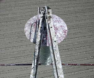 Insulators damaged by bird guano