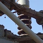 Guano build-up on suspension insulator and on substation equipment.