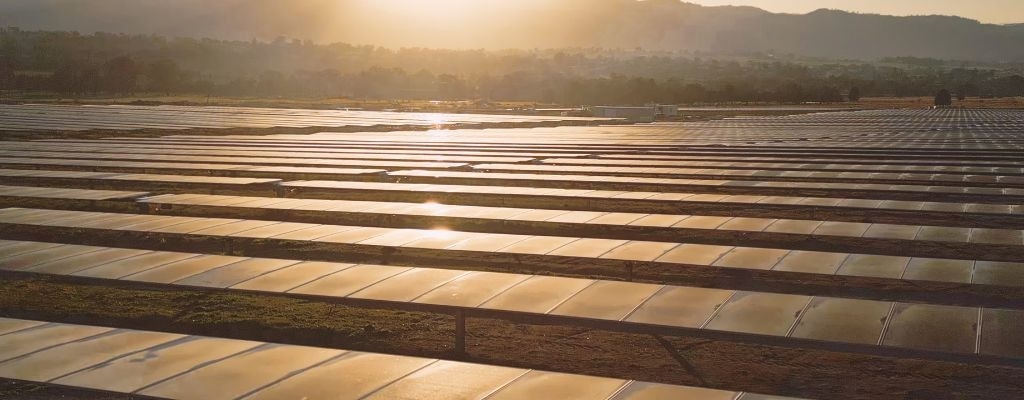 solar farm