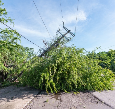 Storm Preparedness & Grid Resilience Solutions