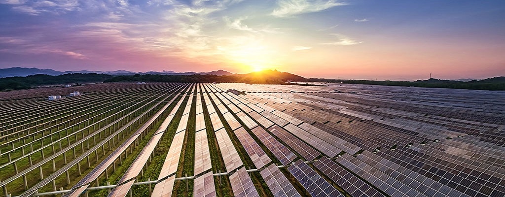 ferme solaire