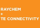 How to Install: Raychem BPTM