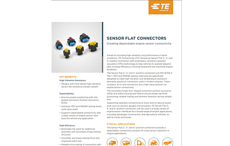 Sensors Flat Datasheet