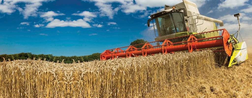 Combine harvester