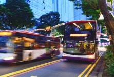 City Buses