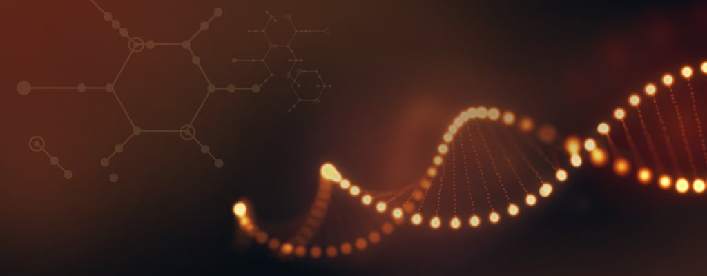 Robustheit liegt in unserer DNA