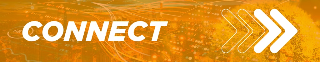 Image Alt Text *