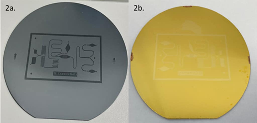photolithography master mold and corresponding nickel shim