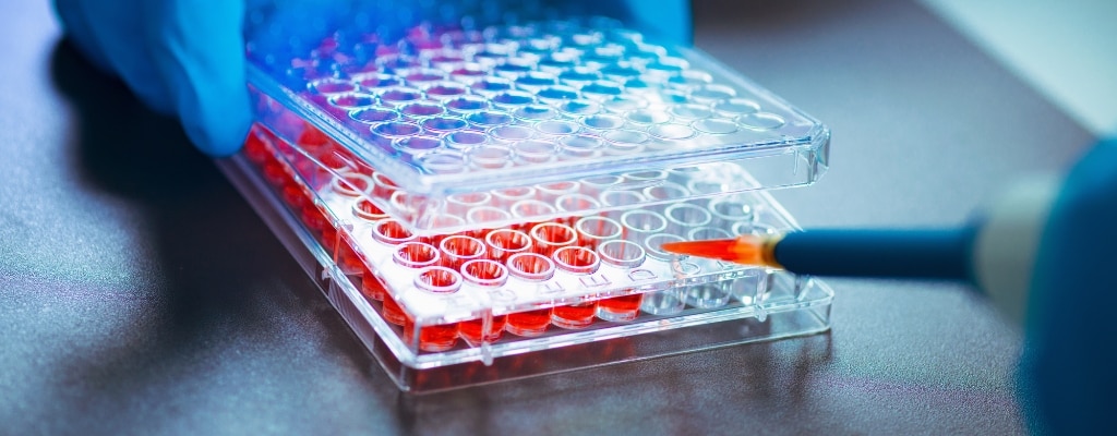 Using microfluidic chips for 3D cell culture