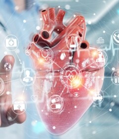 Cardiovascular