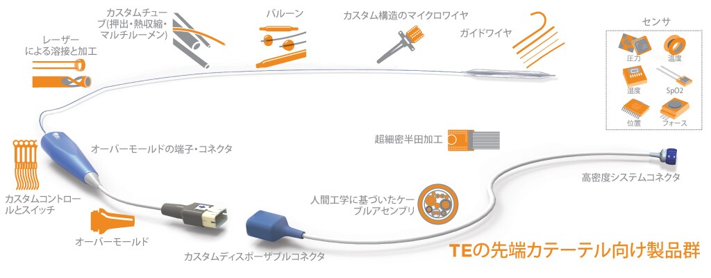 TE の高度なカテーテル構造