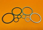 EMI O-ring