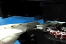 Magnet Wire Machines